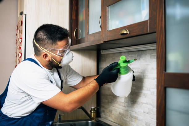Best Exterminator Services  in Goose Creek Village, VA