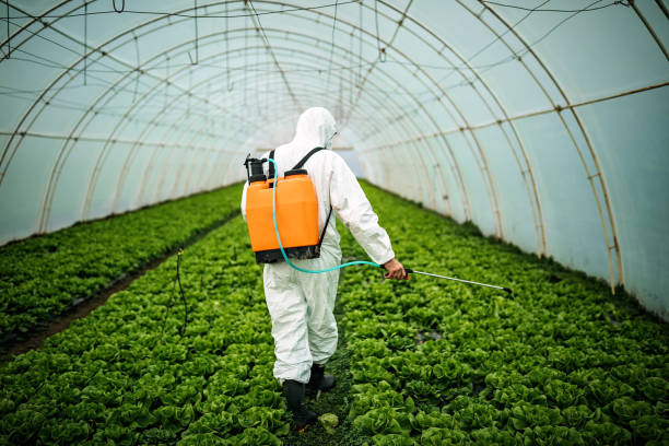Pest Control Cost in Goose Creek Village, VA