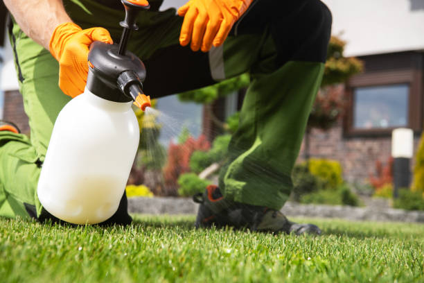 Best Best Pest Control Companies  in Goose Creek Village, VA