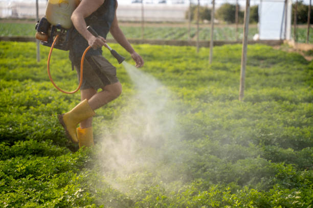 Best Wasp Removal Services  in Goose Creek Village, VA
