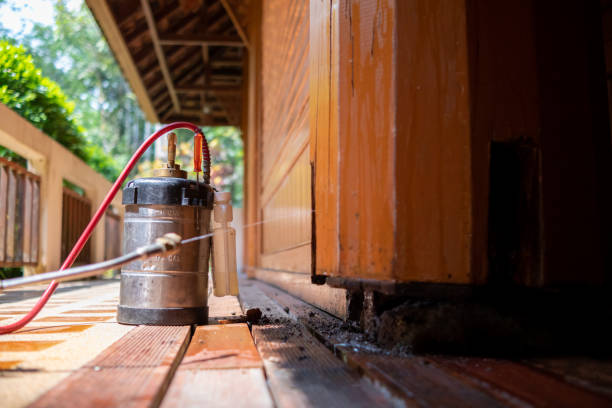 Best Local Pest Control Services  in Goose Creek Village, VA