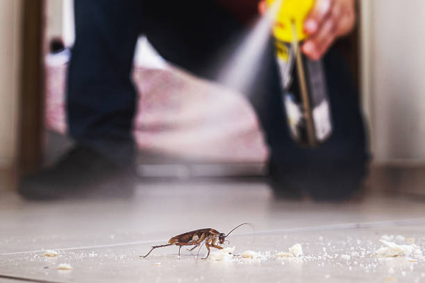 Best Emergency Pest Control  in Goose Creek Village, VA