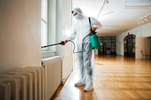 Wasp Removal Services in Goose Creek Village, VA