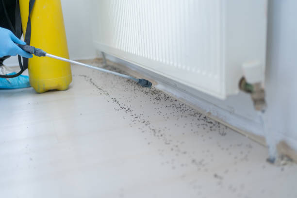 Best Pest Prevention Services  in Goose Creek Village, VA