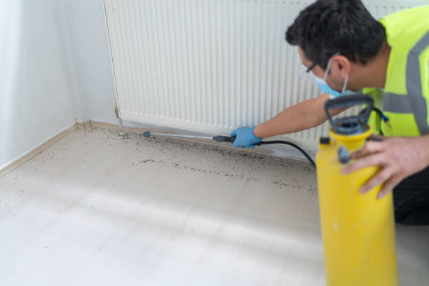 Best Affordable Pest Control Services  in Goose Creek Village, VA